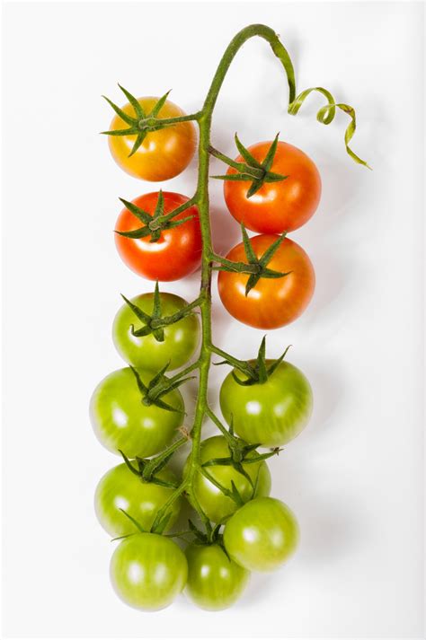 Free Images : nature, branch, group, bunch, white, fruit, stem, view, isolated, ripe, food ...