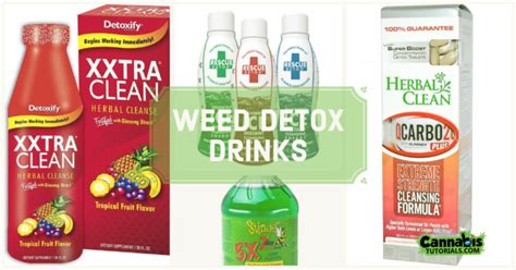 5 Detox Drinks for Weed that Work - Cannabis Tutorials