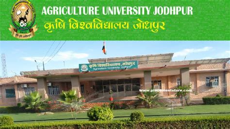 Agriculture University Jodhpur Recruitment 2022 » Non Teaching Post