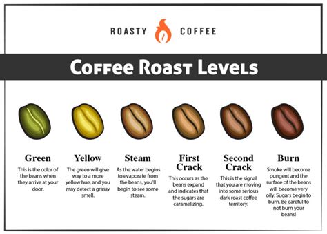 The Best Home Coffee Roasters You Can Buy 2024 Reviews