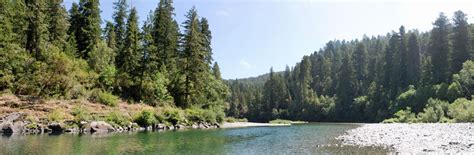 Jedediah Smith Redwoods State Park Campground