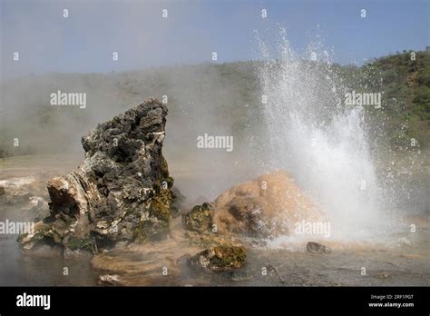 Hot Springs and Geysers at Lake Bogoria in Kenya Stock Photo - Alamy