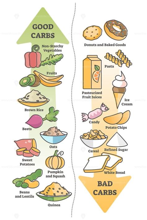 Good carbohydrates vs bad carbs as food example educational outline diagram – VectorMine