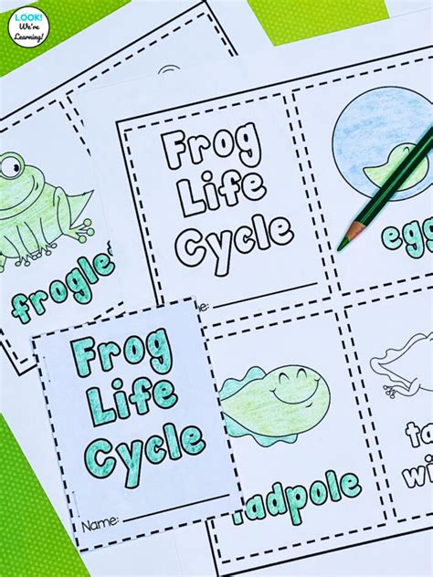 Printable Mini Frog Life Cycle Book for Kids - Look! We're Learning!