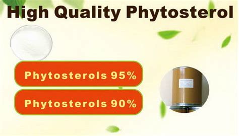 Phytosterol Powder,90%,95%,Dietary Supplements,White to off -white