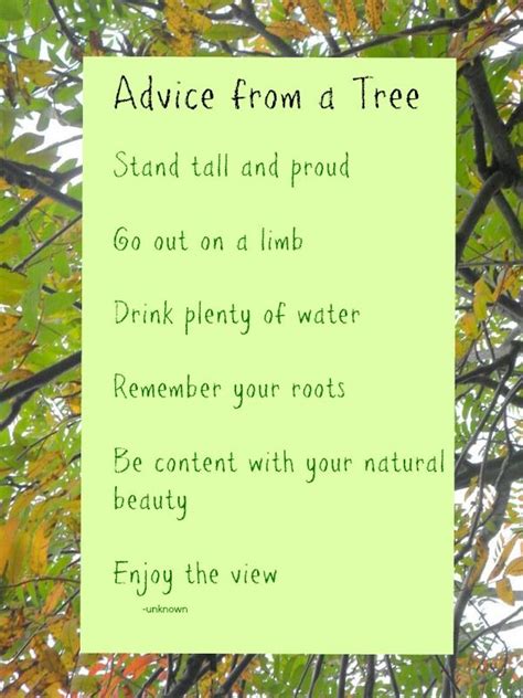 Tree wisdom | Environment quotes, Sunday inspiration, Family advice