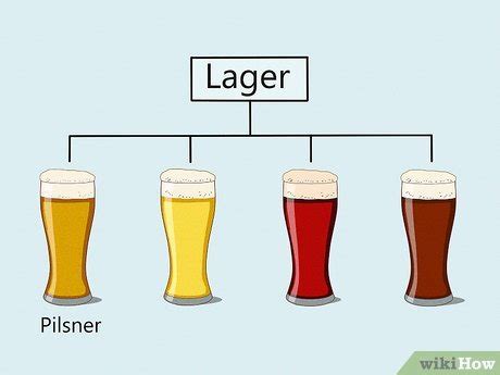 Pilsner vs Lager: 3 Main Differences