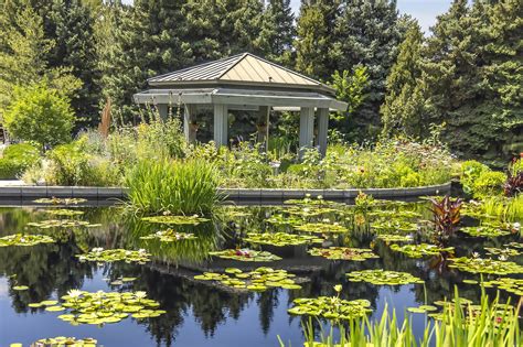 Denver Botanic Gardens - Discover Vibrant Greenery – Go Guides