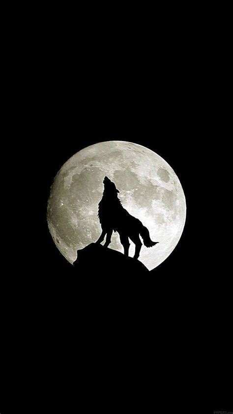 Wolf Lock Screen Wallpapers - Top Free Wolf Lock Screen Backgrounds - WallpaperAccess