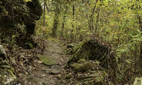 Centennial Day of Service: Ozark Folk Center State Park | Arkansas.com