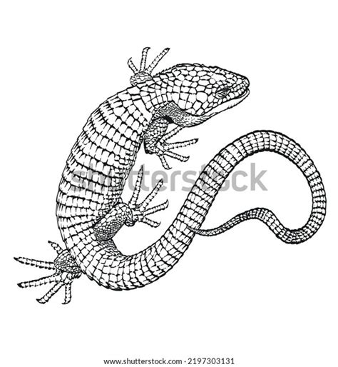 10,376 Tattoo Outline Small Images, Stock Photos, 3D objects, & Vectors | Shutterstock