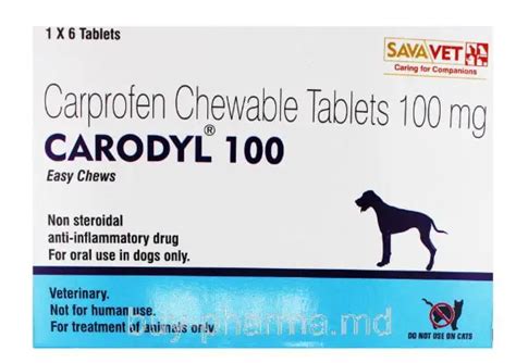 Carprofen Dosage For Dogs: Risks, Uses & Safety