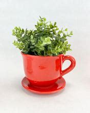 Ceramic Pot With Saucer Ceramic Plant Saucer Pot Indoor Ceramic Plant – Ibarra Imports