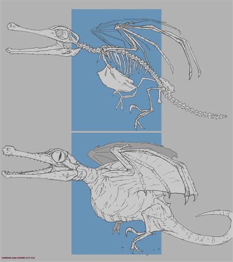 Dragon Anatomy Drawing at PaintingValley.com | Explore collection of ...