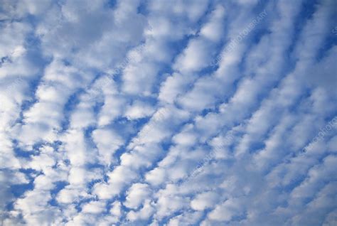 Altocumulus Cloud - Stock Image - C017/4288 - Science Photo Library