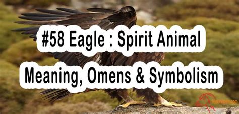 #58 Eagle : Spirit Animal – Meaning, Omens & Symbolism