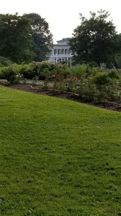 The History museum from the rose garden in Delaware park. : r/Buffalo