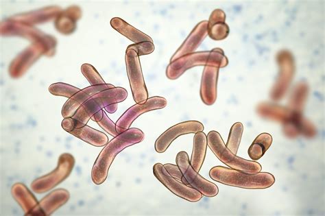 Cholera: Signs, symptoms and treatment - myDr.com.au