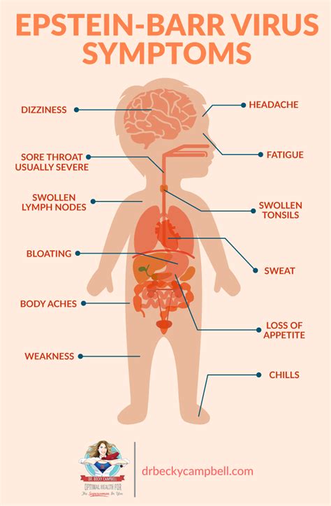 The Epstein-Barr Virus and Thyroid Health Connection