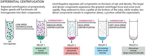 Centrifugation