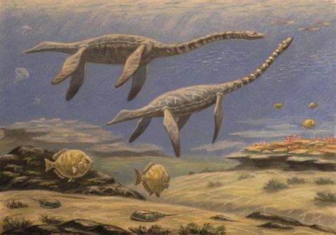Fish Dapedium, Plesiosaurus dolichodeirus by ABelov2014 on DeviantArt