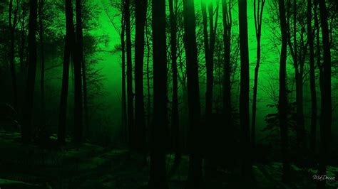 Mystical Forest Wallpaper (66+ images)