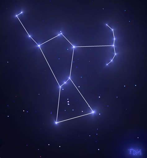 Orion Hunter Constellation Drawing | Hot Sex Picture