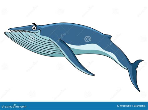 Big Blue Baleen Whale Stock Vector - Image: 40358058