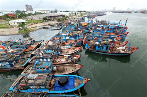 Fishing boats in port - Stock Image - C058/3362 - Science Photo Library