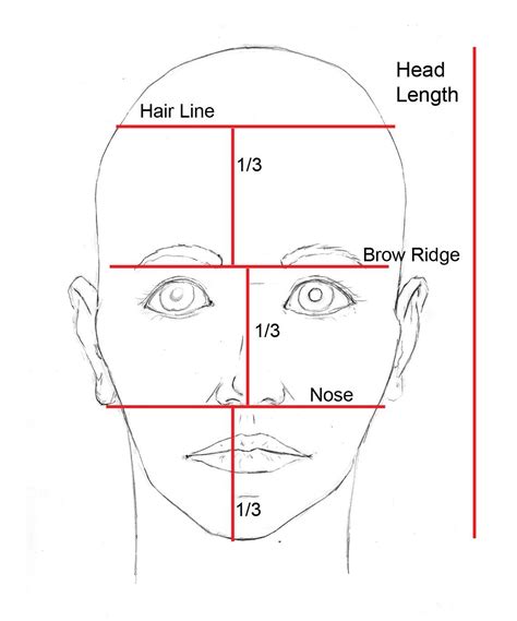 How to Draw a Face With Depth - Kinatim Priny1959