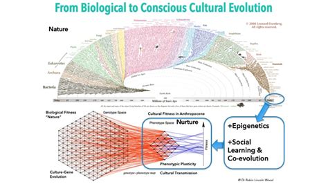 12/21 — Commentary on Clare W. Graves Revisited Beyond Value Systems: Biocultural Co-evolution ...