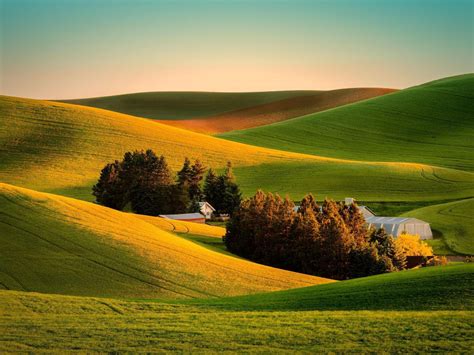 wallpaper field, grass, landscape, farm HD : Widescreen : High Definition : Fullscreen