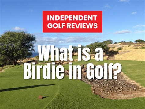 What Is A Birdie In Golf? - Independent Golf Reviews