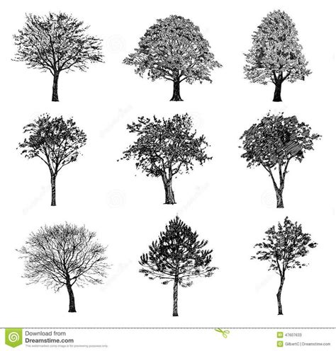 17+ best images about How to Draw Realistic Trees, Plants Bushes and Rocks on Pinterest | Trees ...