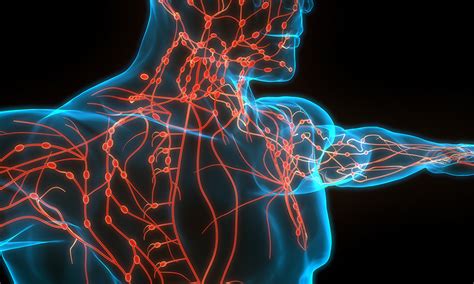 Cancer That Spreads To Lymph Nodes | Signs, Treatments