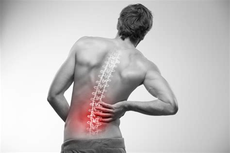 Why does my lower back hurt ? - Fit Elements