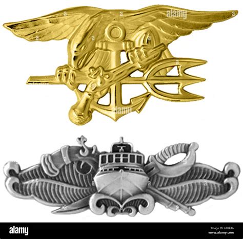 Special forces insignia hi-res stock photography and images - Alamy