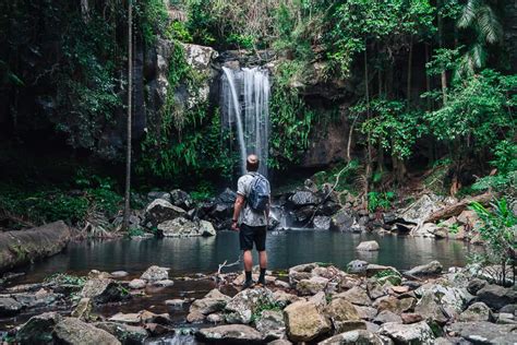 Curtis Falls In Mount Tamborine: 2024 Visitor's Guide