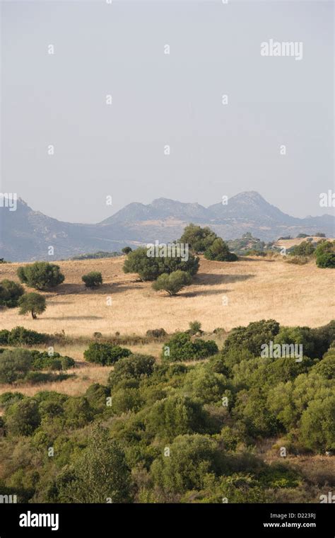 Sardinia mountains hi-res stock photography and images - Alamy