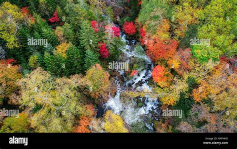 Autumn Foliage and Waterfall Stock Photo - Alamy