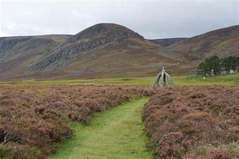 Glenesk Wildlife Tour - Full Stop Next Chapter