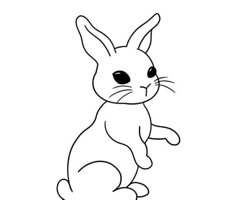 How to Draw a Bunny | Skip To My Lou