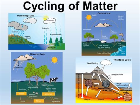 Cycle of Matter - Earth Process