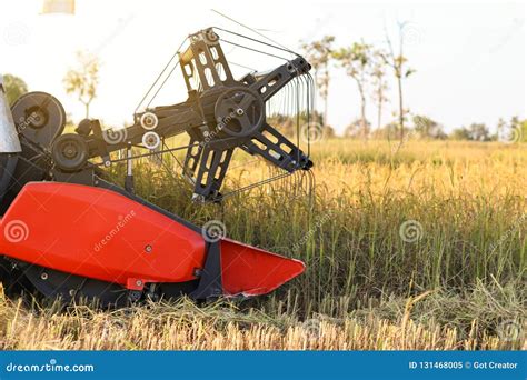 Harvester Agriculture Machine and Harvesting in Rice Field Working ...