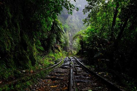 10 Absolutely Beautiful Hiking Trails You Have To Do In New Zealand | New zealand, New zealand ...