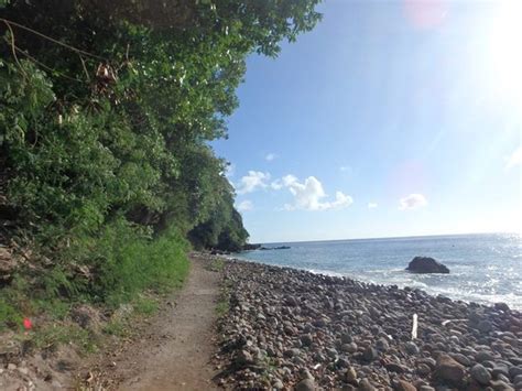 Champagne Beach (Roseau) - All You Need to Know BEFORE You Go - Updated 2021 (Roseau, Dominica ...