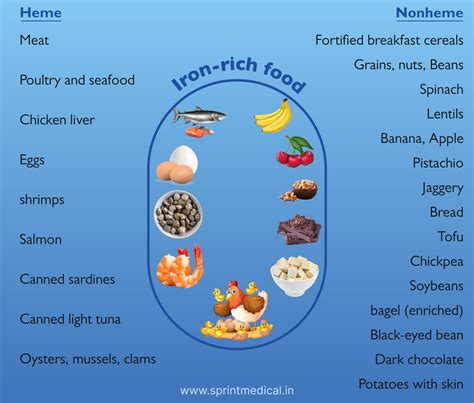 List Of Iron Rich Foods For Anemia - Infoupdate.org