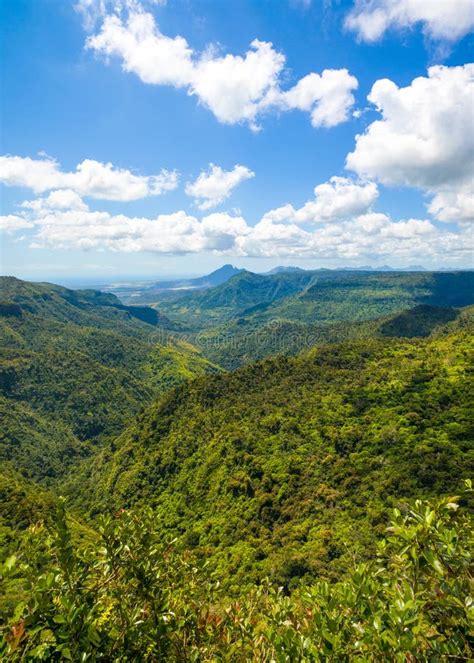 Black River Gorges National Park Stock Image - Image of landscape, nature: 102346933