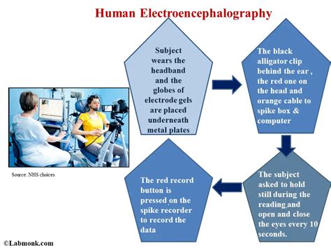 Human Electroencephalography: Methods of Recording and Identification of Different Types of EEG ...