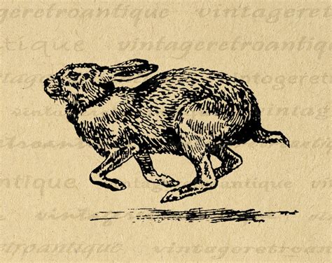 Running Rabbit Digital Image Graphic Download Antique Bunny ...